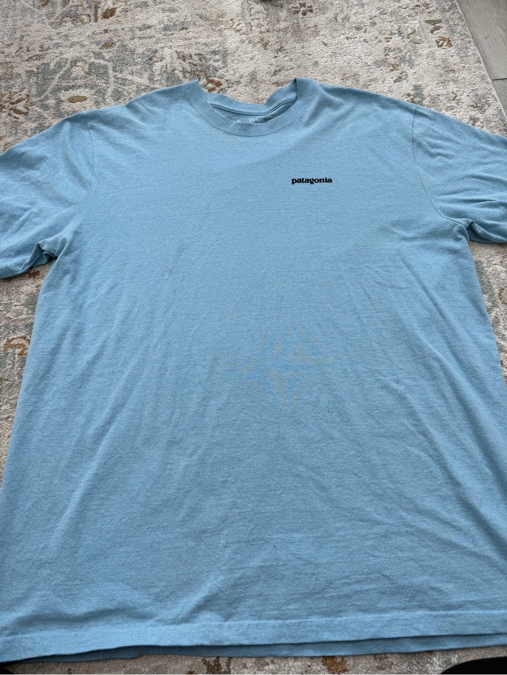 Patagonia Light Blue Short-Sleeve Tee with Small Logo